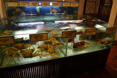 Sea food restaurant, have you pick for dinner. Lobster or Crab?hehee